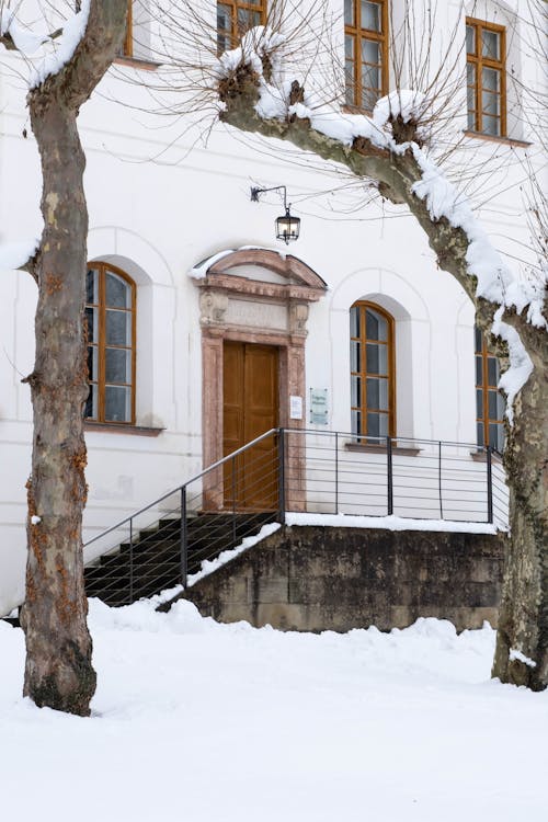 Kostenloses Stock Foto zu eingang, entlaubten bäumen, gebäude