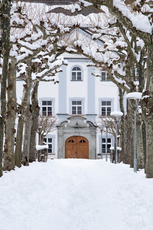 Darmowe zdjęcie z galerii z bezlistne drzewa, budynek, duże opady śniegu