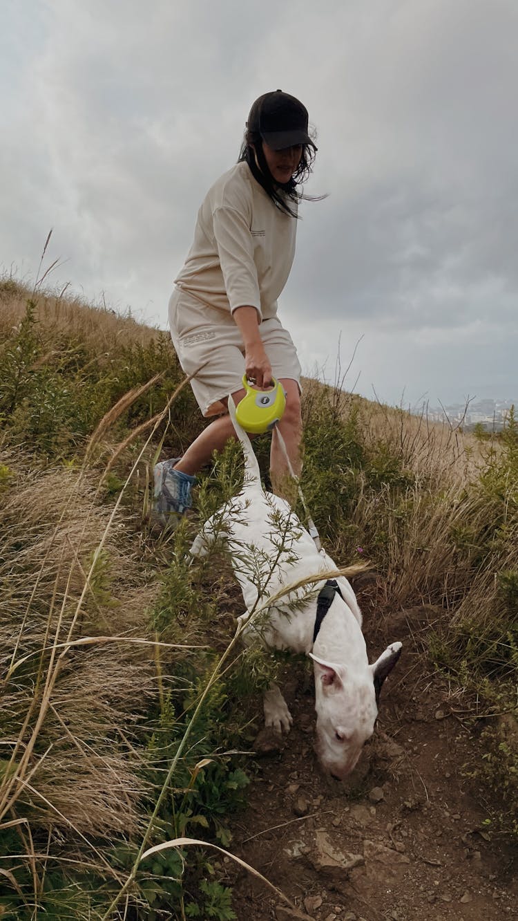 A Woman Walking Her Bull Terrier