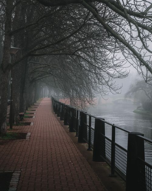 Free A foggy riverside pathway lined with bare trees, creating a serene and mystical atmosphere. Stock Photo