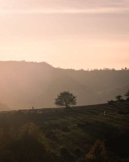 Silhouette of Mountain During Sunset