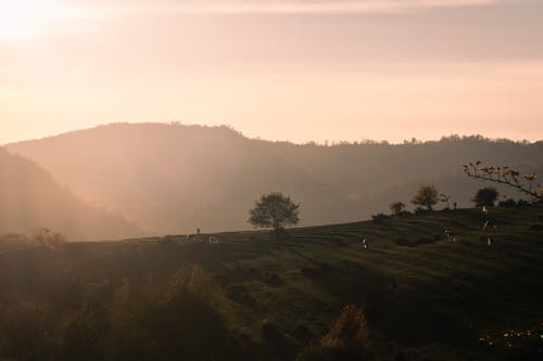 Silhouette of Mountain During Sunset