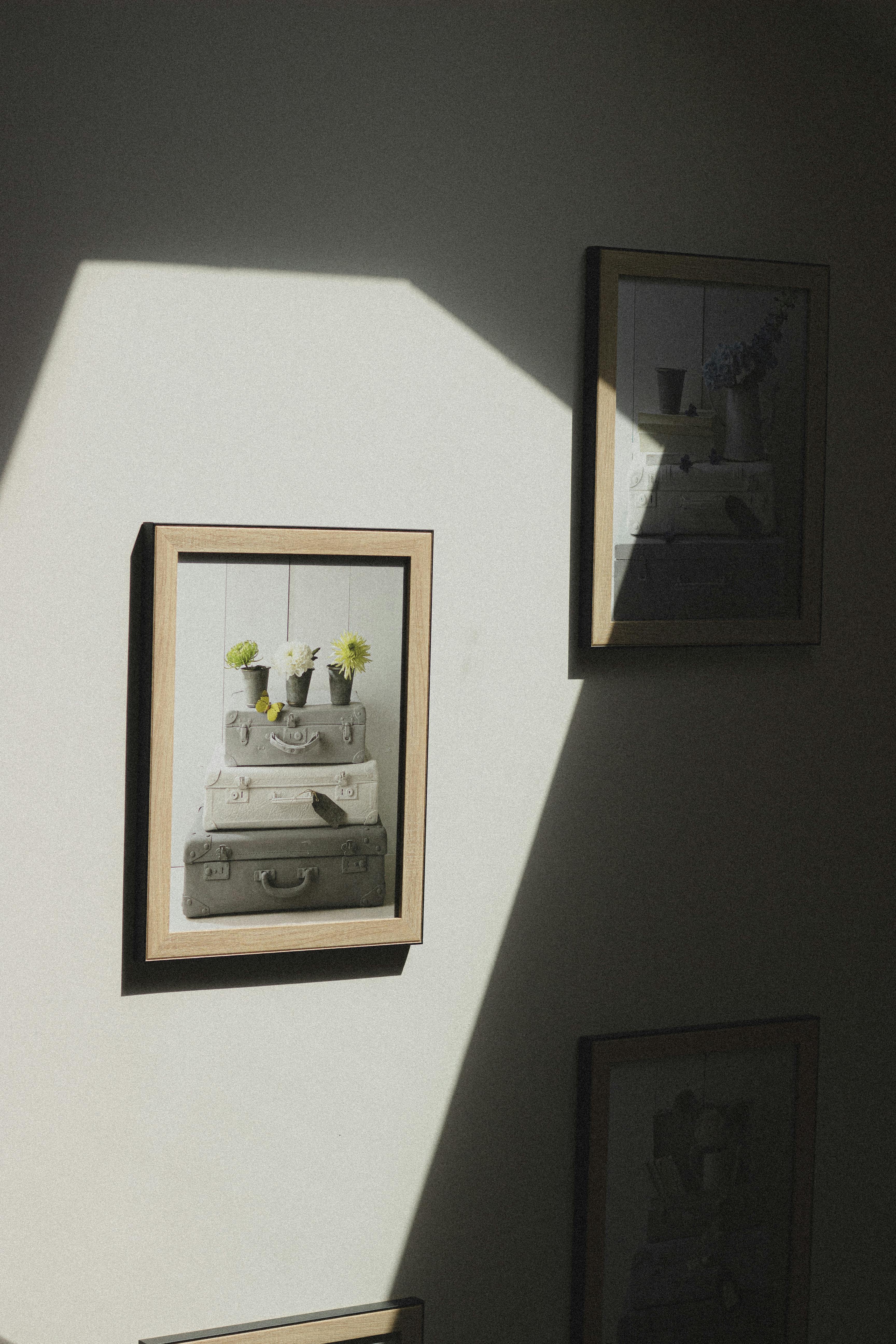 Framed art and natural light create intricate patterns on a wall for a captivating visual effect.