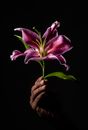 Purple and White Flower in Dark Room