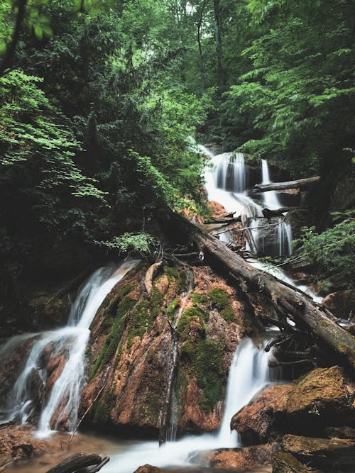 Waterfalls Surrounded by Green Trees