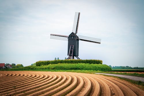 Black Windmill in front of Ploughland 