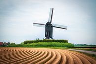 Black Windmill in front of Ploughland