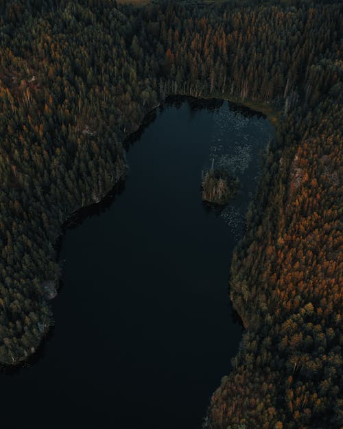 Gratis lagerfoto af droneoptagelse, flod, fugleperspektiv