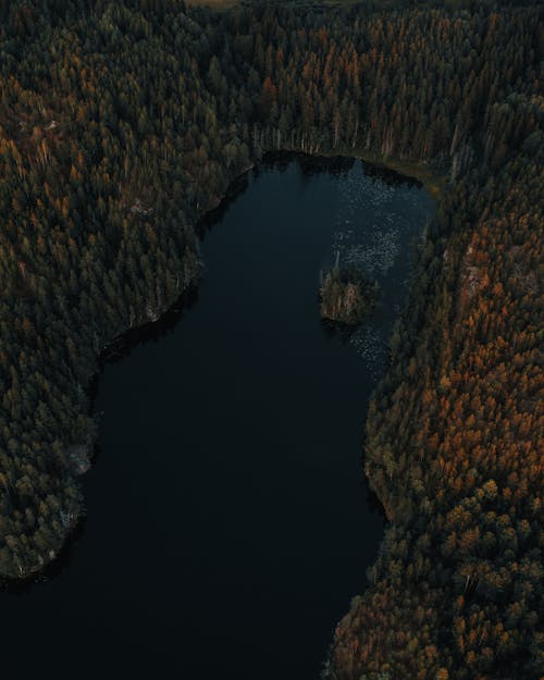 Imagine de stoc gratuită din apă caldă, apă curgătoare, codru