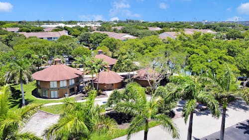 Houses Surrounded by Green Trees