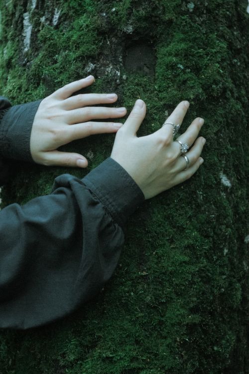 Free Close-up of hands with rings touching a moss-covered tree trunk in an outdoor setting. Stock Photo
