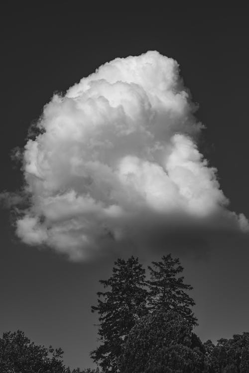 Grayscale Photo of the Clouds 