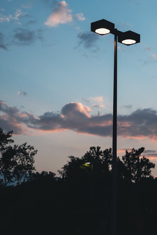 Kostenloses Stock Foto zu bäume, blauer himmel, laternenmast