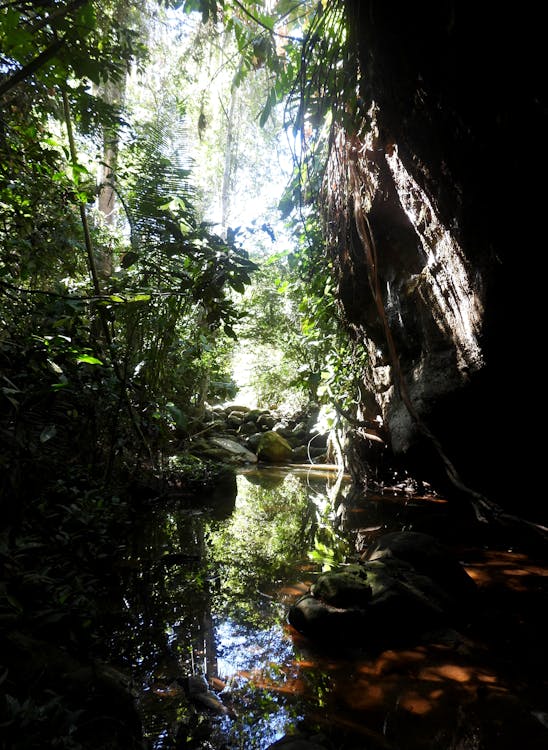 Free stock photo of cave, creek, landscape