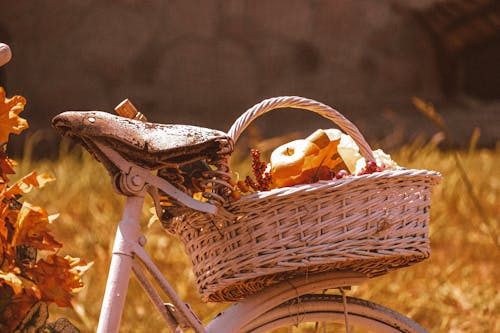 과일, 자전거, 짠 바구니의 무료 스톡 사진