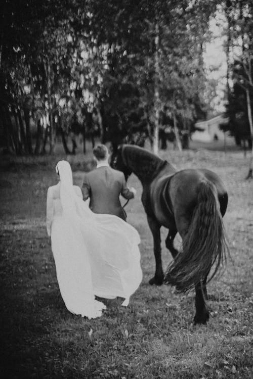 Free A Newlywed Couple With a Horse Stock Photo