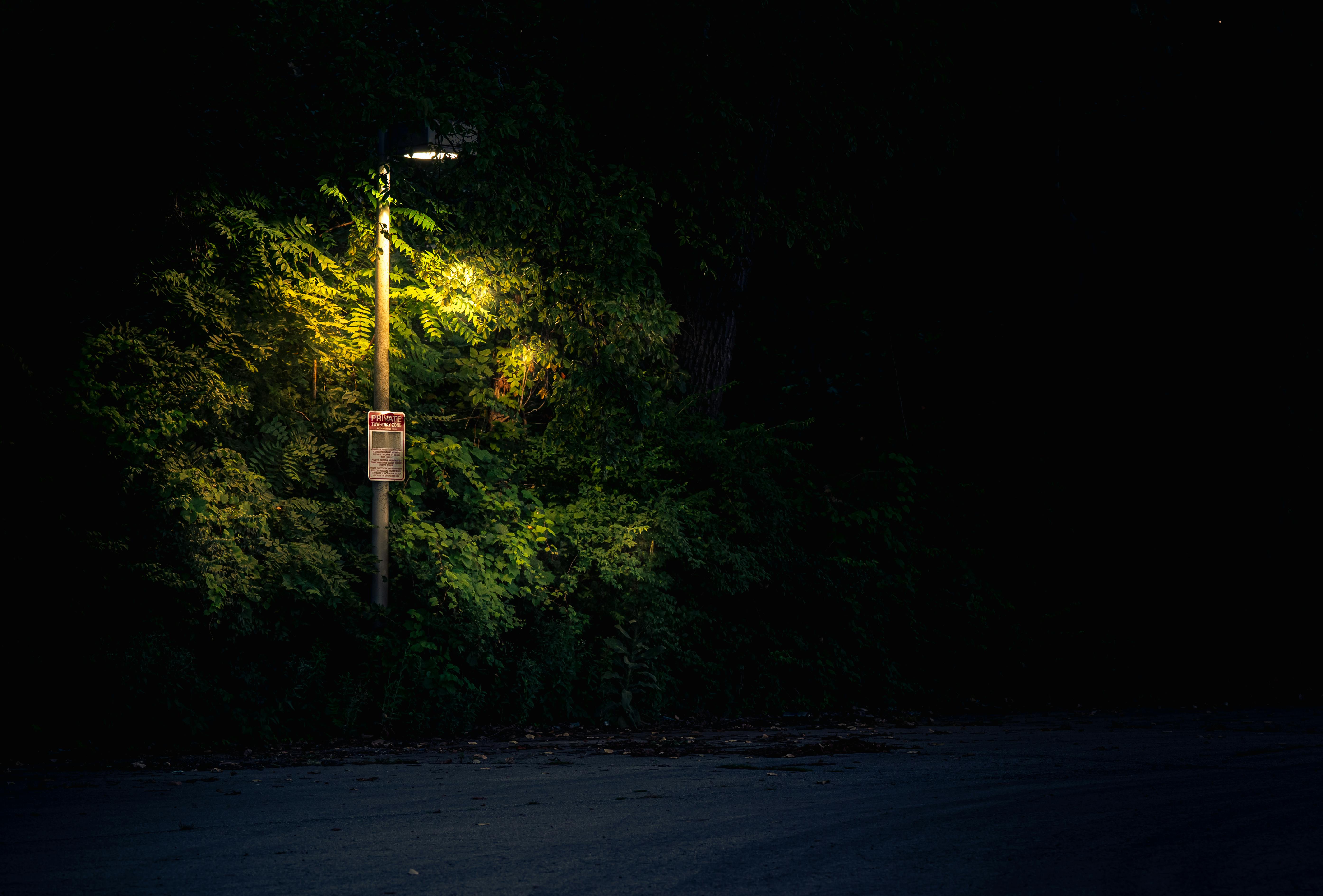 Images Gratuites : lumière, rue, voiture, nuit, pluie, véhicule,  Pare-brise, Feu, obscurité, éclairage, 2016, 366, Arrêté dans le trafic,  capture d'écran 3841x2290 - - 283086 - Banque d image gratuite - PxHere
