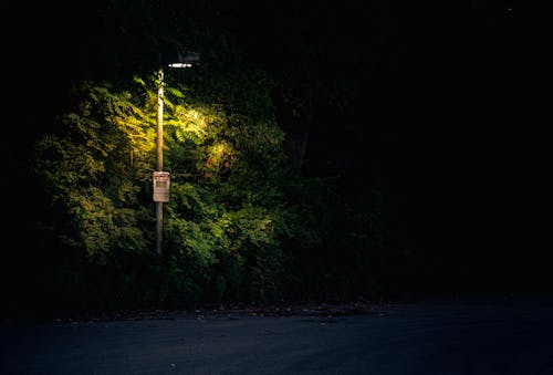 Street Light on Roadside