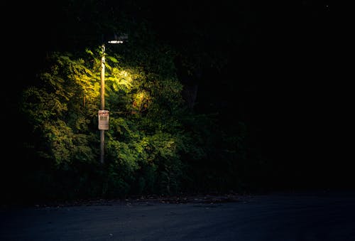 Fotos de stock gratuitas de borde del camino, farola, oscuro