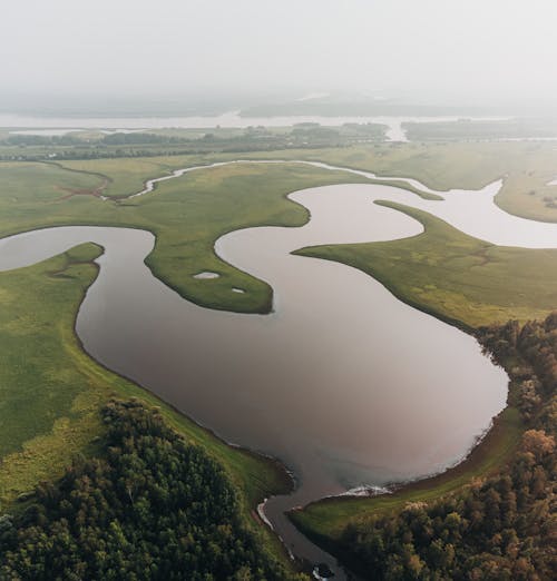 Fotos de stock gratuitas de campo verde, foto con dron, fotografía aérea