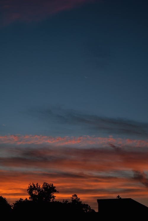 Fotos de stock gratuitas de amanecer, anochecer, árbol