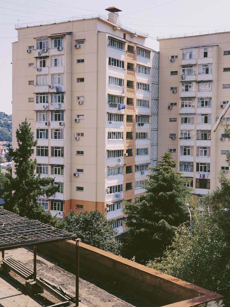 Buildings Near Trees