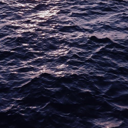Foto profissional grátis de água, mar, oceano
