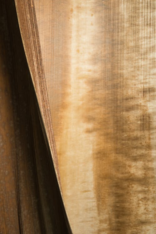 Darmowe zdjęcie z galerii z brązowy, martwa natura, pionowy strzał
