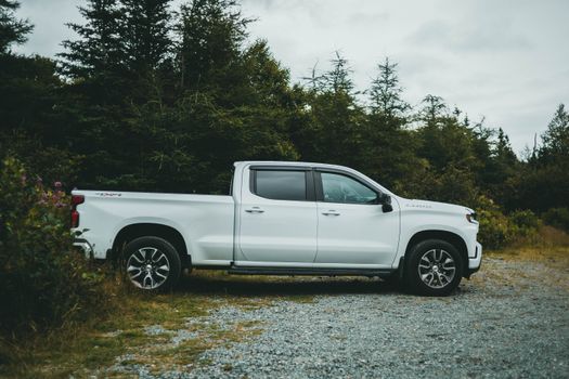 A white pickup truck parked on a gravel path surrounded by green trees in a serene forest setting.