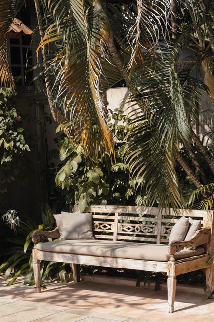 Rustic wooden bench with pillows surrounded by lush tropical foliage, creating a peaceful outdoor setting.