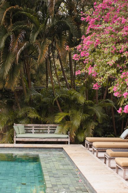 Serene outdoor pool area surrounded by lush foliage and blooming flowers, perfect for relaxation.