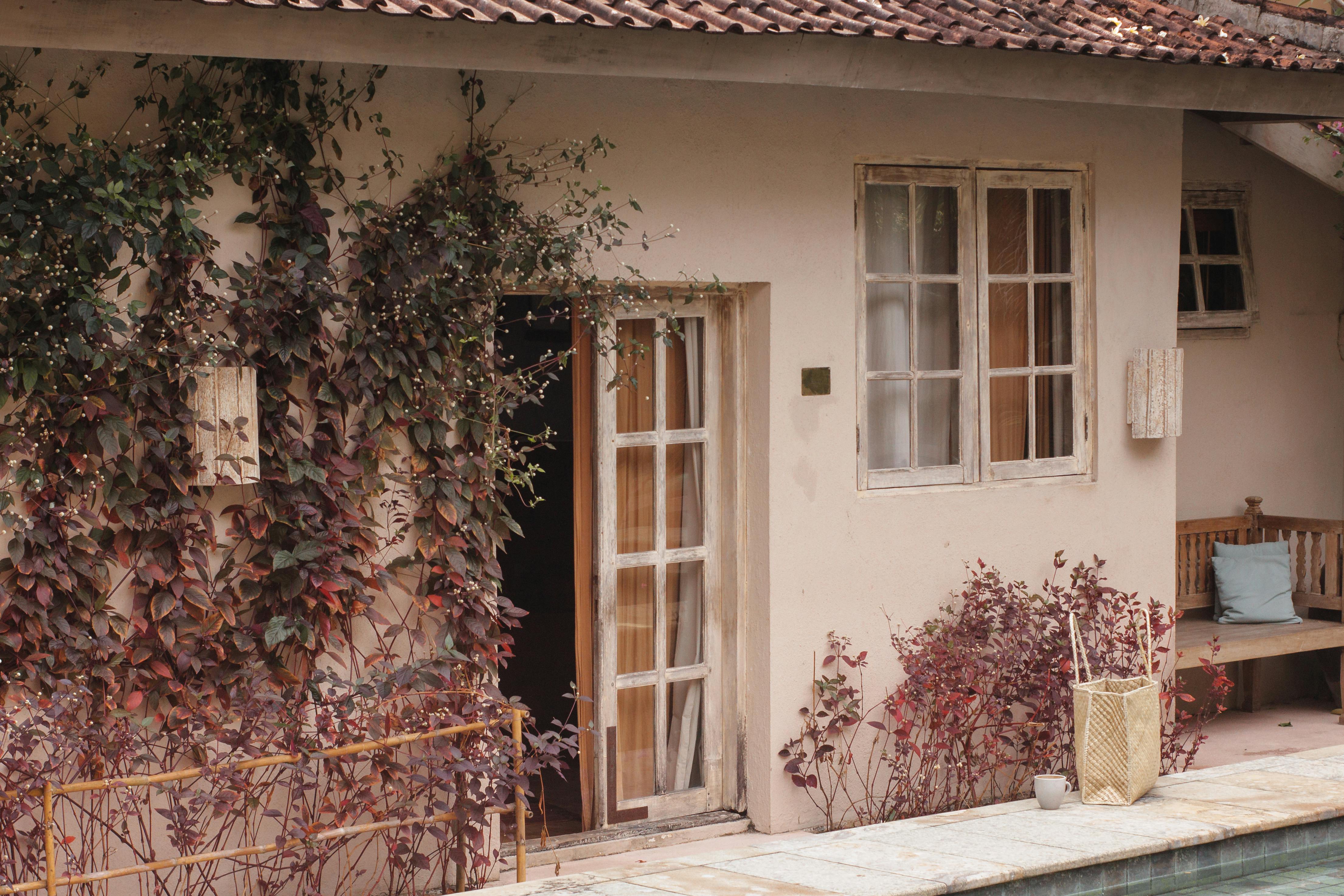 Rustic house facade with wooden door, windows, and vibrant plants in a cozy setting.