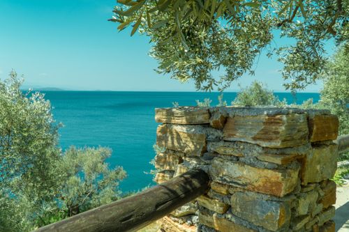 Free Peaceful coastal scene featuring a stone wall, olive trees, and the ocean under a clear sky. Stock Photo