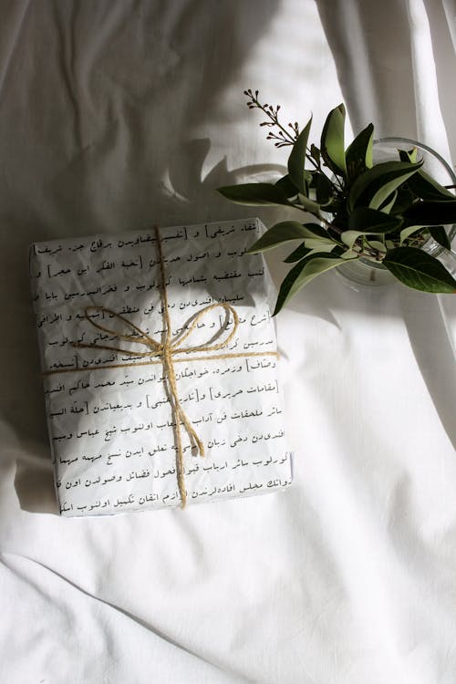 Wrapped Gift Beside Green Plant