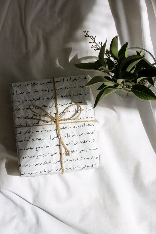 Free A beautifully wrapped gift in script paper beside a green plant in a vase on a white surface. Stock Photo