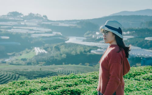 Vue Latérale De La Femme Au Sommet De La Montagne