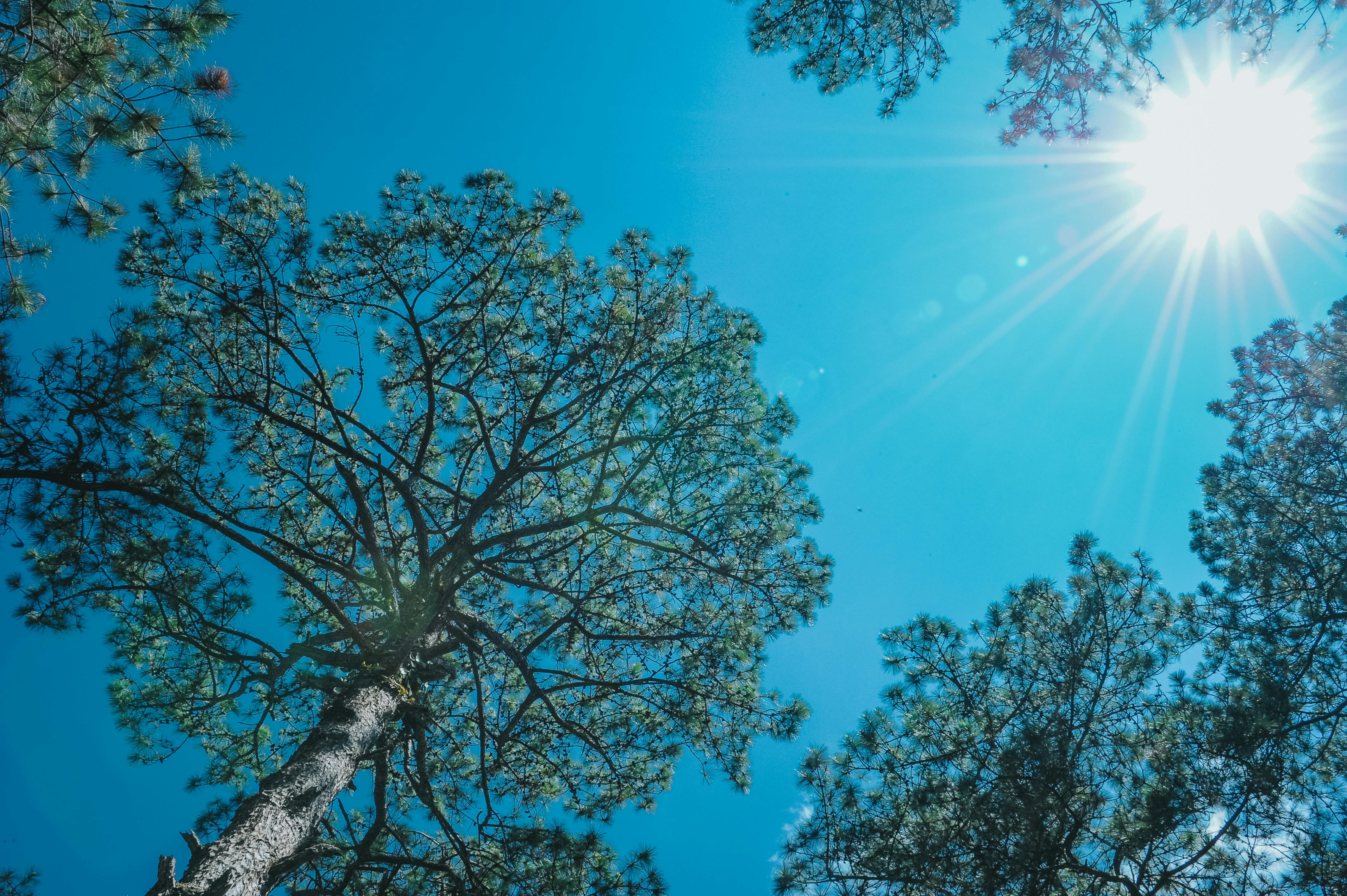 hình hình họa  màu xanh lá cây domain authority trời Bầu trời đám mây mặt mày trời Ban ngày ko  khí Cumulus Phong cảnh vạn vật thiên nhiên Màu xanh rớt Hiện tượng khí tượng điềm  tĩnh Ánh sáng