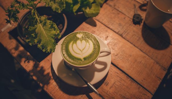 White Ceramic Cup Near Plant