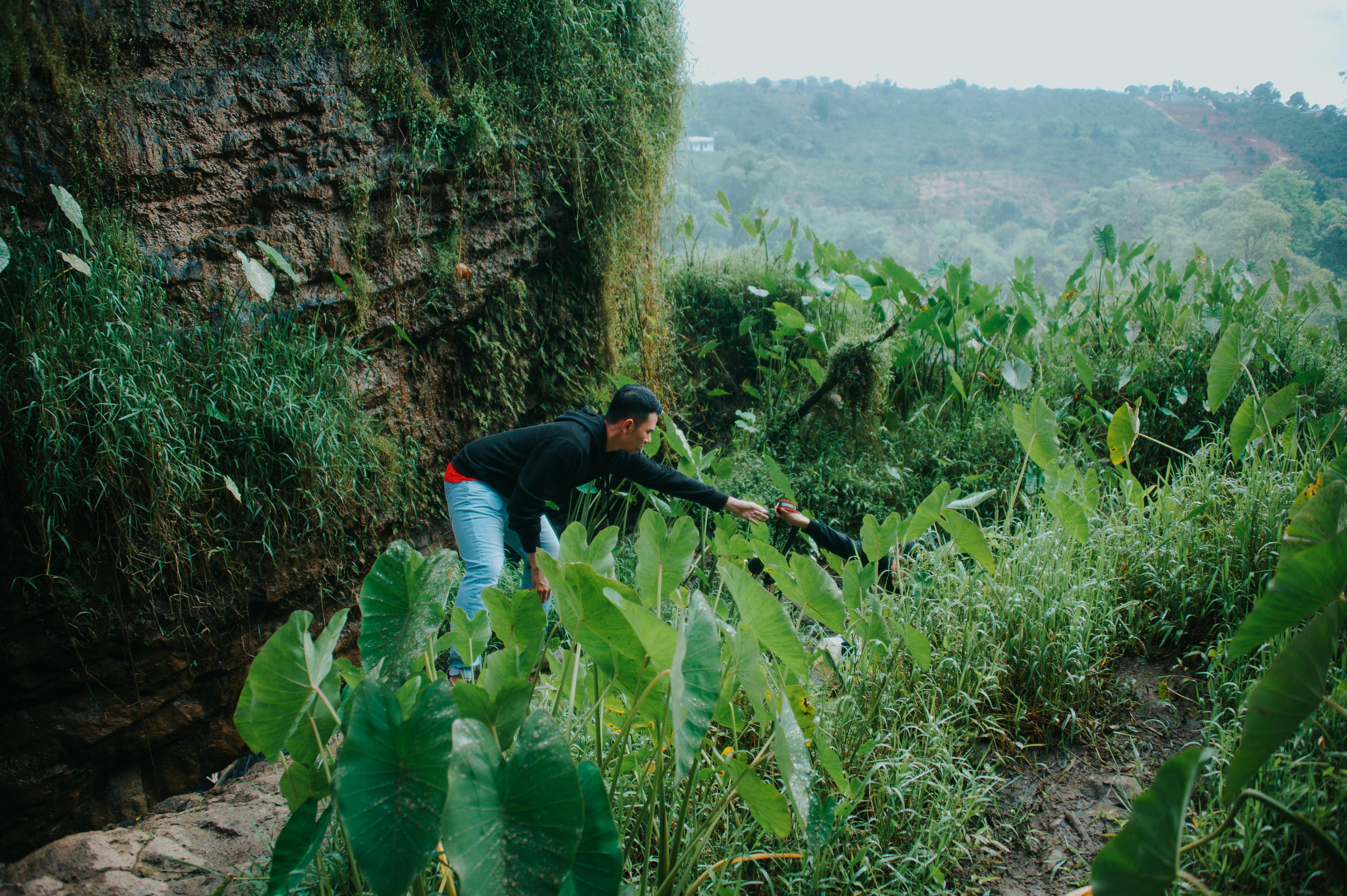 Young man in a lush green jungle terrain assisting another person amidst dense foliage.