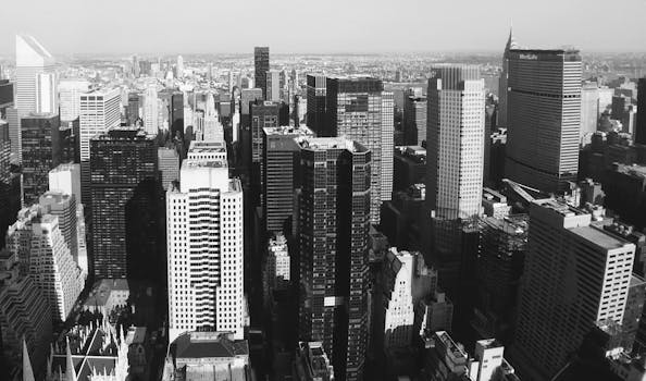 纽约市引人注目的空中城市景观以黑白为主色调，并以其标志性的摩天大楼为特色