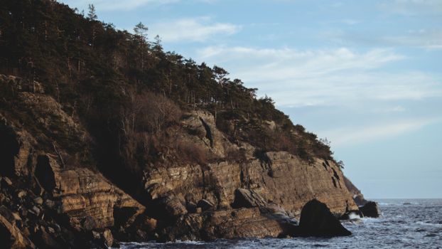 在晴朗的日子里，岩石海岸线与茂密的森林构成壮丽景色