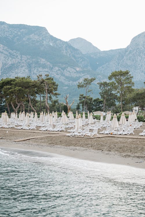 Gratis stockfoto met parasols, resort, strand