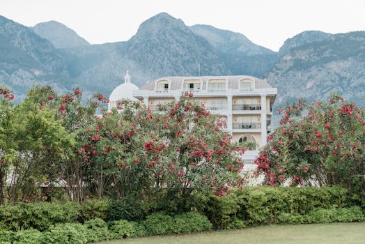 A stunning view of a resort surrounded by red flowers with majestic mountains in the background.