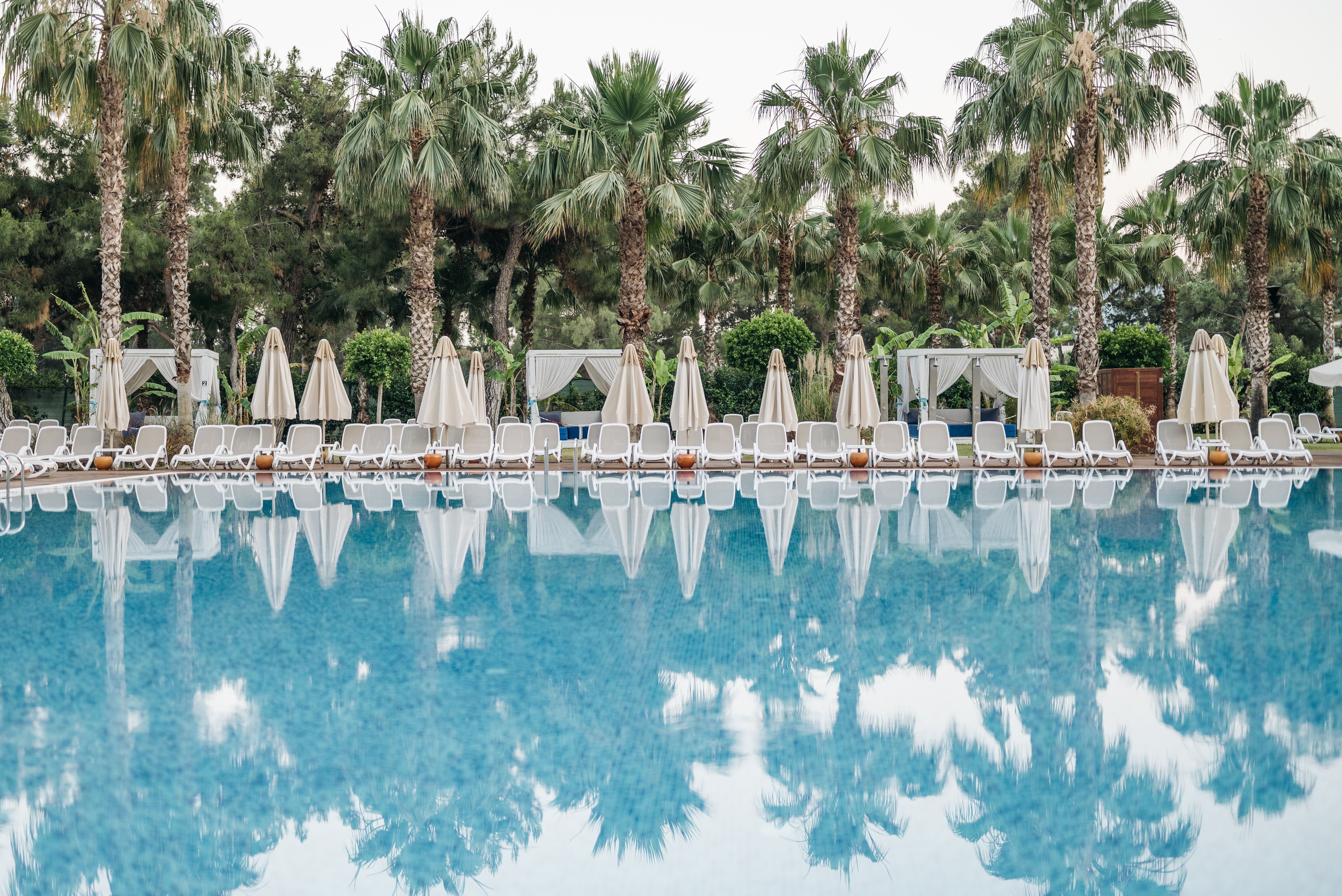 Serene resort pool surrounded by palm trees and sunbeds, perfect for relaxation and leisure.