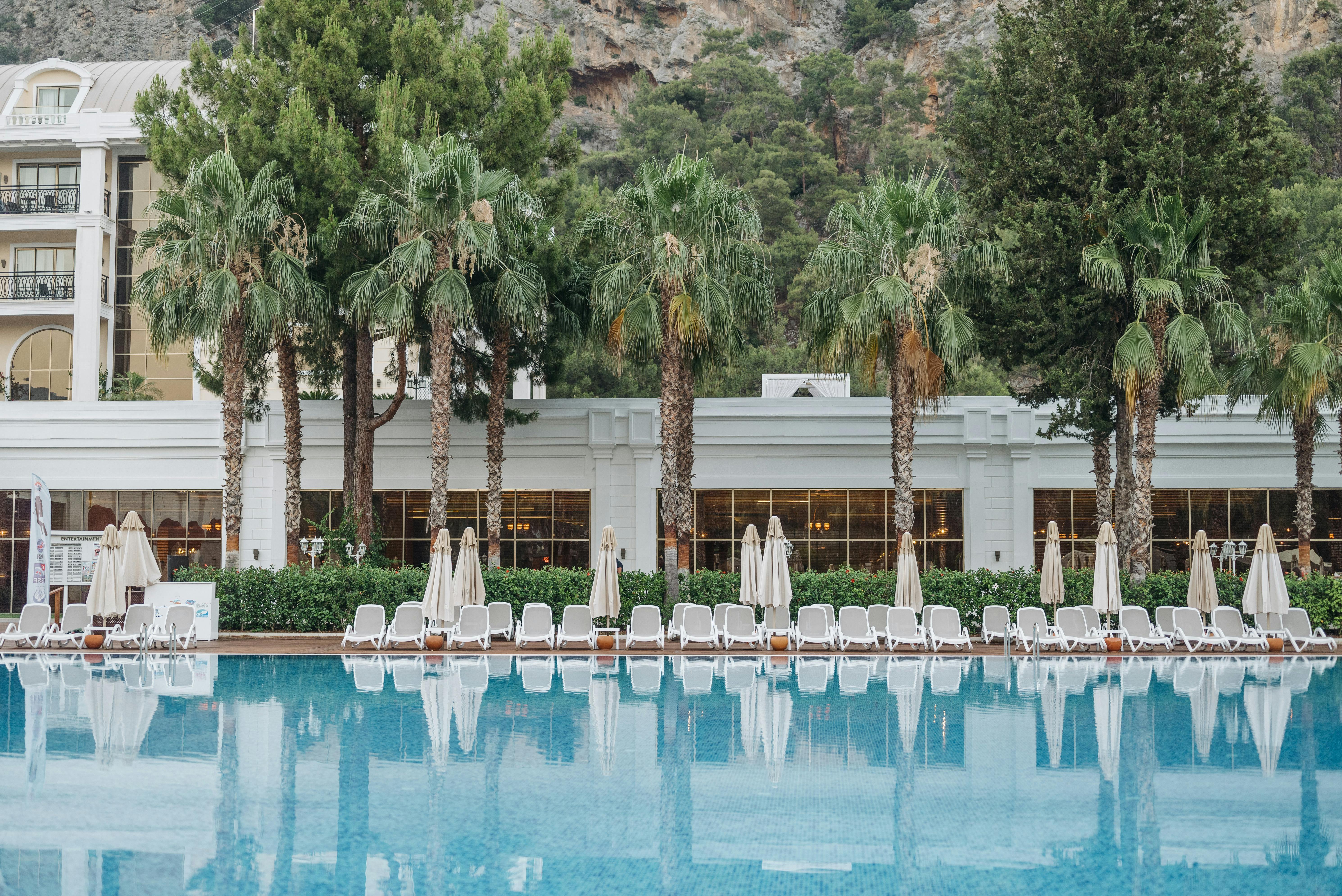 Serene view of a luxury resort pool surrounded by palm trees and sunbeds, perfect for relaxation.