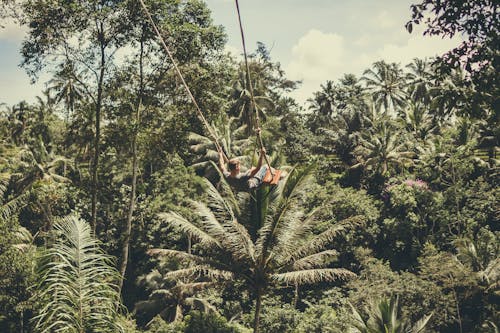 Man Holding on Rope in Forest