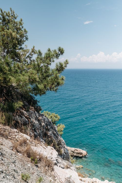 Free Beautiful scenic view of a coastal cliff with green pine trees overlooking a clear blue ocean under a bright sky. Stock Photo