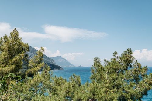 Free A beautiful coastal landscape with blue sea, lush pine trees, and distant mountains under a clear sky. Stock Photo