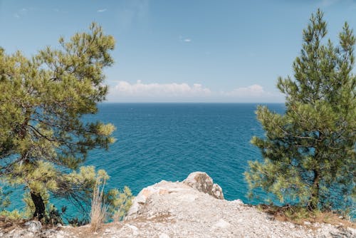 Green Trees Near Blue Sea Under Blue Sky