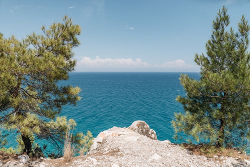 Free Scenic landscape with pine trees and vibrant blue ocean under a clear sky. Stock Photo